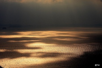 IMG_7448.JPG
