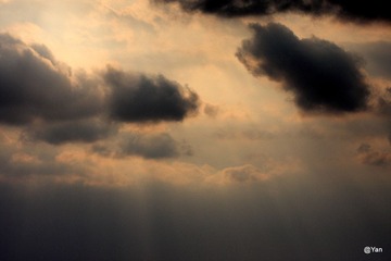 IMG_7450.JPG