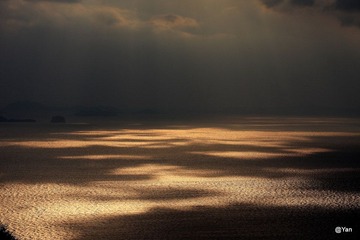 IMG_7446.JPG