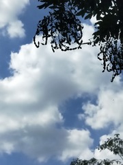 6378811