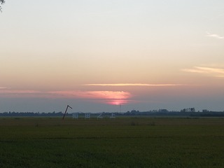6482297