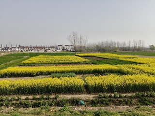 1000015404