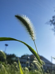 6248267