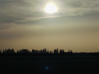 1000025740