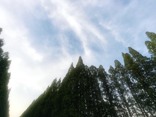 1000025778