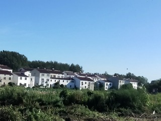 6248291