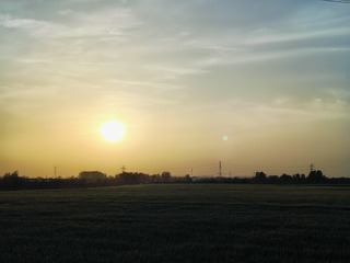1000022775