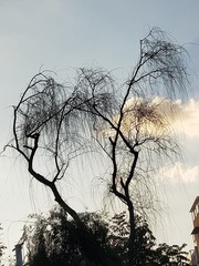 6428028