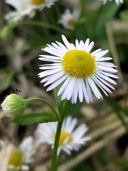 6493822