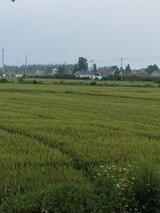 6028810