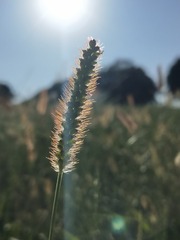 6424906
