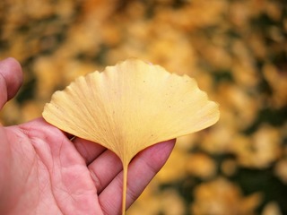 PB143712