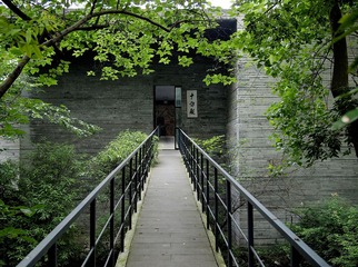 P6027339