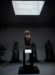 P6027437