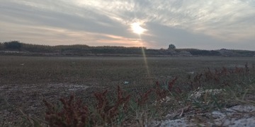 1371719
