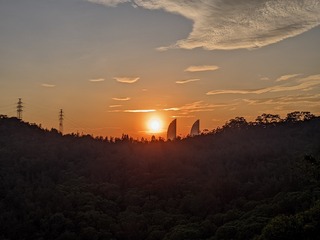 1000016241
