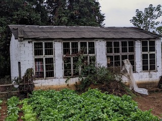 1000026060
