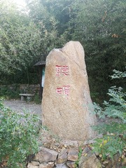 155498