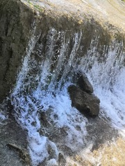 2950808