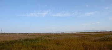 DSC_1212.jpg