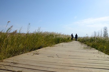 DSC_1398.jpg