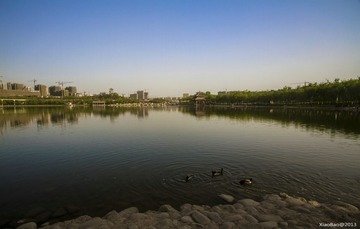 IMG_8972.jpg