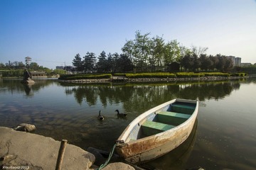 IMG_9035.jpg