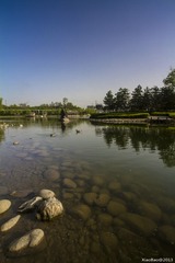 IMG_9036.jpg