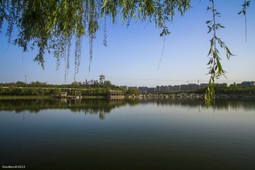 IMG_9058.jpg