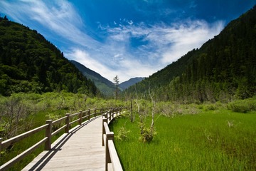 20130613-IMG_0836.jpg