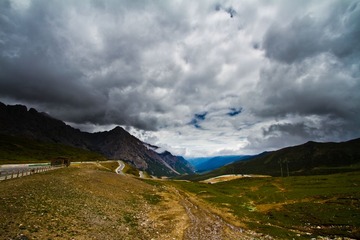 20130614-IMG_1154.jpg