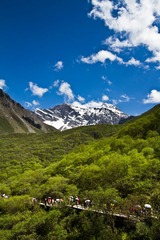 20130614-IMG_7269.jpg