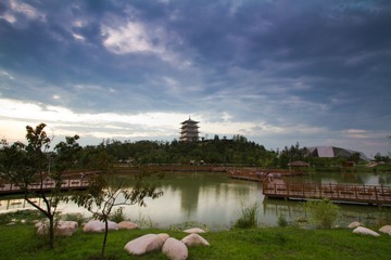 20130811-IMG_8214.jpg