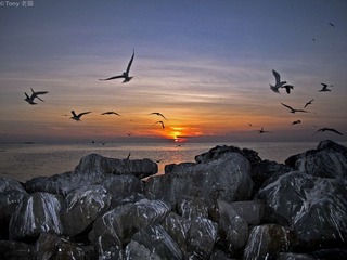 IMG_1967 as Smart Object-1.jpg