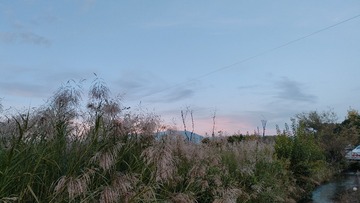 1000025033