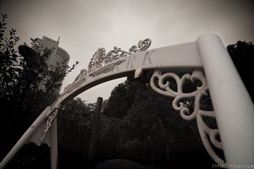 DSC_0006.jpg