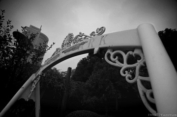 DSC_0006.jpg