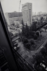 DSC_0007.jpg