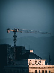 1000016319