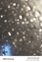 1000003513
