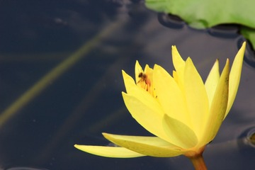IMG_0022.JPG