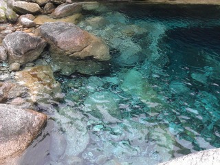 WP_000449.jpg