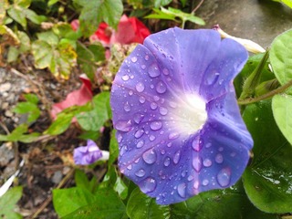 WP_000255.jpg