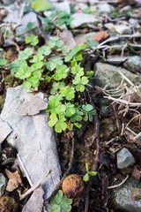 DSC00013.jpg