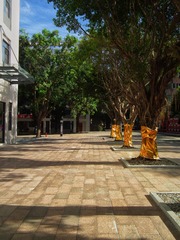 1000026488