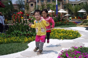 IMGP9617.jpg