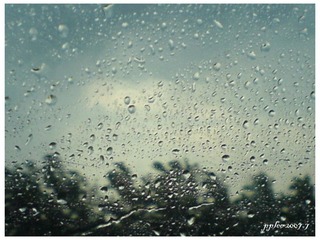 疾速雨露