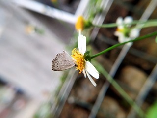 3569070