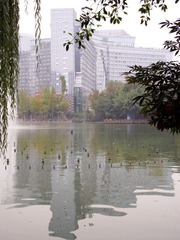 天鹅虎湖倒影