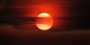 2866774